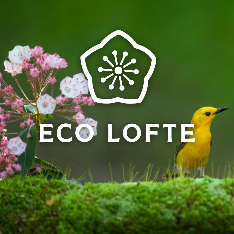 Eco Lofte logo over a photo of mountain laurel and a yellow bird