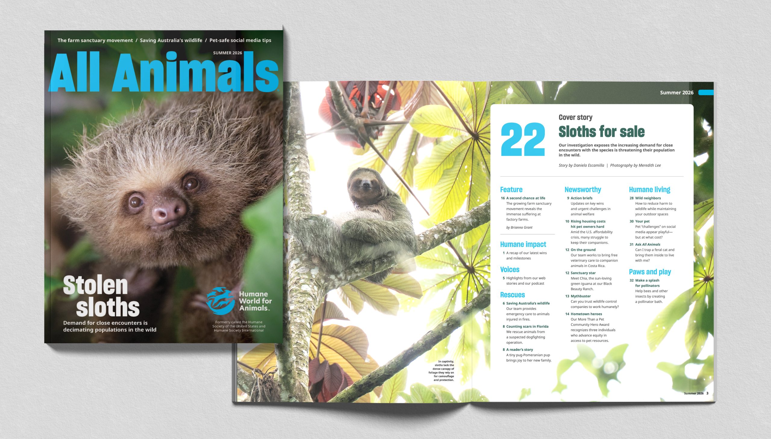 All Animals Magazine mockup