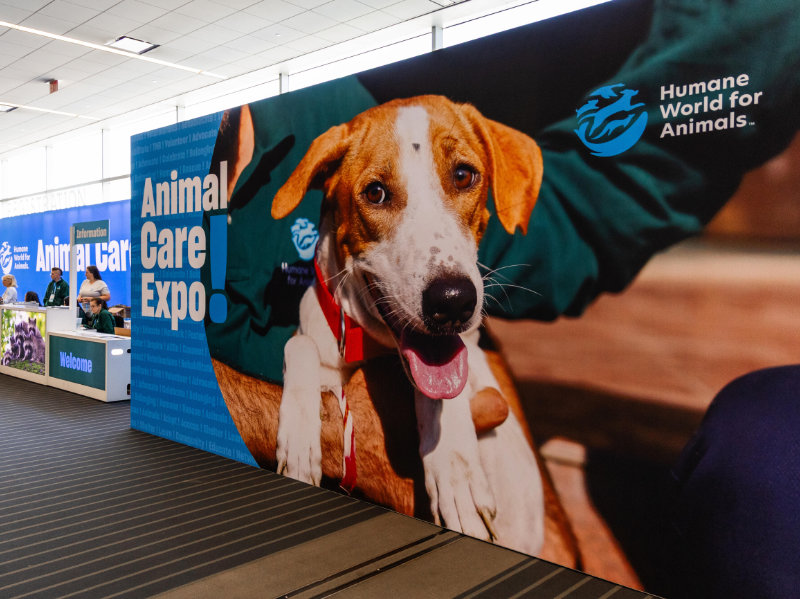 Animal Care Expo